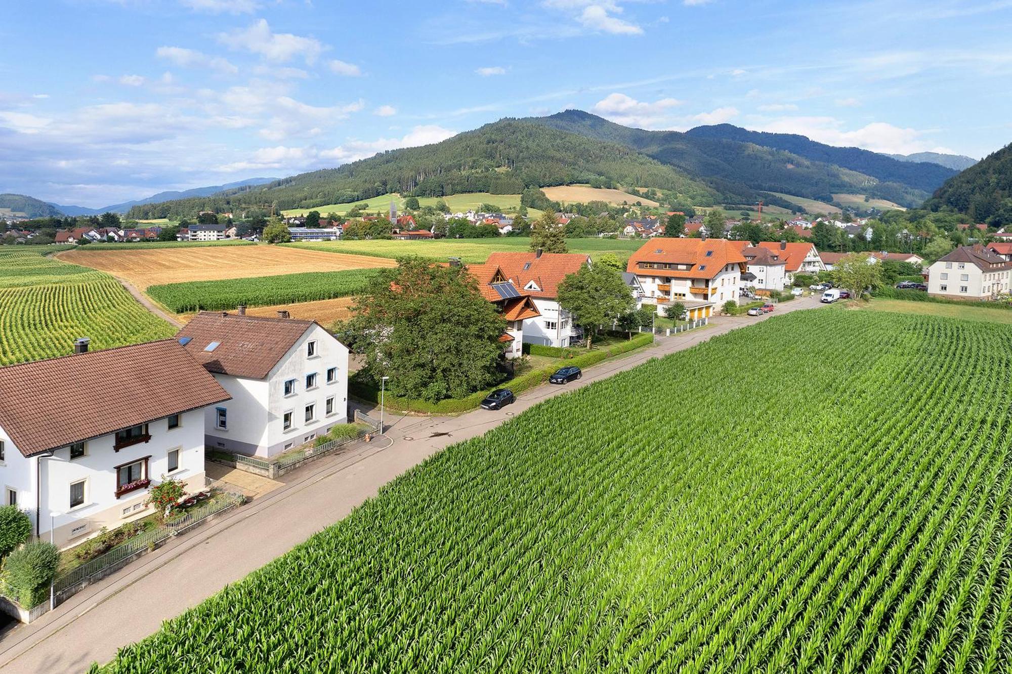 Ferienwohnung Emma Gutach im Breisgau 外观 照片